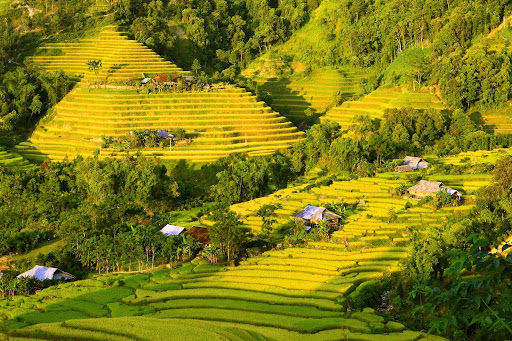 Rừng núi Đông Bắc Rừng núi Đông Bắc